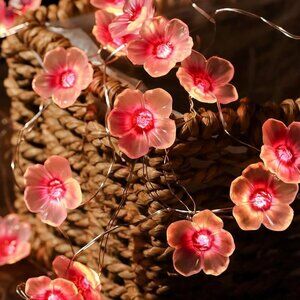 BatteryPowered Cherry Blossom Decor Indoor String Lights13ft 40 LED Fairy Lights